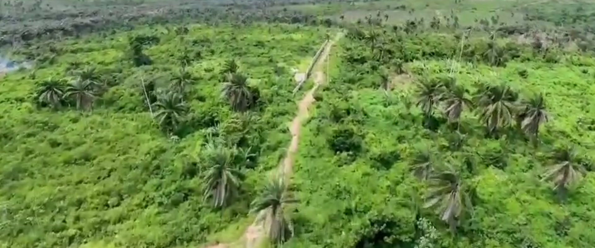 Aerial over the land