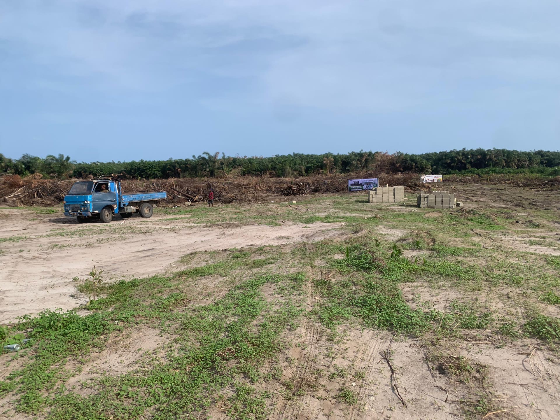 Excavator clearing land for development
